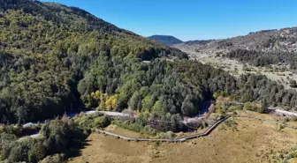 Abant Gölü Milli Parkı'nda Sonbahar Renk Cümbüşü