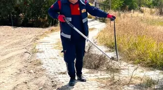 Taşova'da Yılan Panik Yaratırken İtfaiye Ekipleri Duruma El Attı