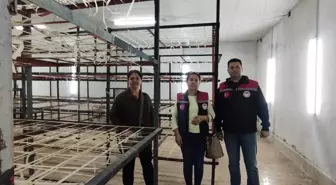 Amasya'da mantar üretimi fizibilitesi yapıldı