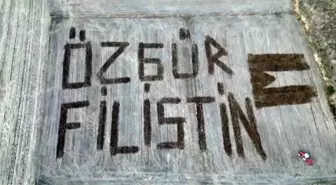 Çanakkale'de Çiftçilerden Filistin'e Destek: Tarlalarına Bayrak Çizdiler