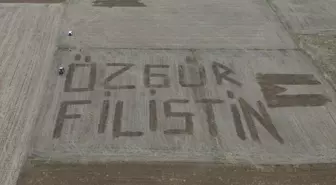 Biga'da Çiftçi, Tarlasına 'Özgür Filistin' Yazdı