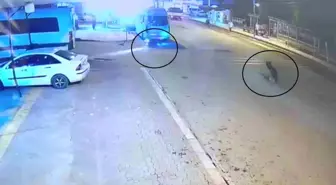 Hatay'da Motosiklet Devrildi, Minibüsün Altına Girdi