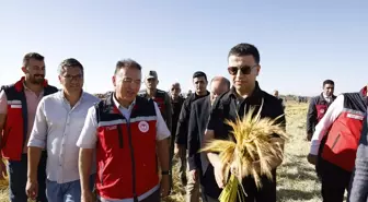 Diyarbakır'da Karacadağ Pirinci Hasat Etkinliği Düzenlendi