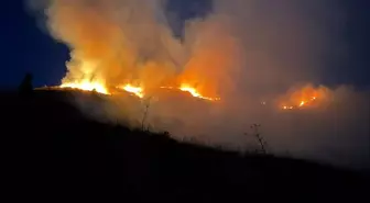 Elazığ'da Ormanlık Alana Sıçrayan Yangın Kontrol Altına Alındı