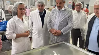 Faruk Çelik, Kardelen Kestane Şekeri Tesisini Ziyaret Etti