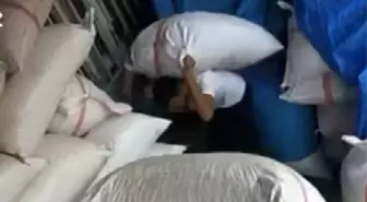 Gaziantep'te 450 Bin TL Değerinde Fıstık Hırsızlığı