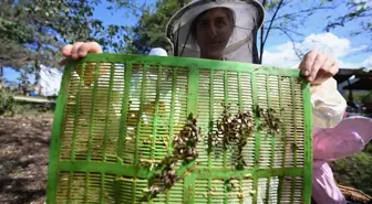 Düzce'de Özel Gereksinimli Bireyler için Arıcılık Projesi