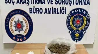 Uludere'de Uyuşturucu Operasyonu: Sürücü Gözaltına Alındı