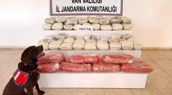 Van'da Jandarma Operasyonu: 61,9 Kilogram Skunk Ele Geçirildi