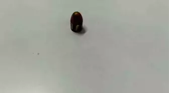 Kahramanmaraş'ta Yorgun Mermi İş Yerine Saplandı