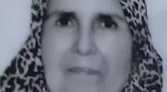 Çöp Kamyonunun Çarptığı Kadın Hayatını Kaybetti