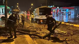 Edirne'de Sağanak Yağış Ağaç Devrilmesine ve Trafik Aksamalarına Neden Oldu