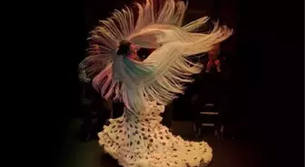 Emine Erdoğan, Filistin için yardım konserine katılacak