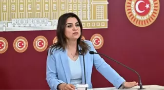 Gülistan Kılıç Koçyiğit kimdir? DEM Parti Grup Başkanvekili Gülistan Kılıç Koçyiğit kaç yaşında, nereli?