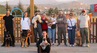 Kayseri'de köpek eğitim parkuru patiseverlerin uğrak noktası oldu