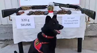 Muş'ta Jandarma Operasyonu: Uyuşturucu ve Silah Ele Geçirildi