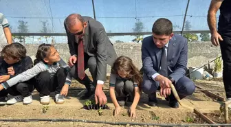 Samsun'da okul bahçesindeki serada çocuklara uygulamalı tarım eğitimi veriliyor