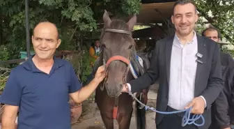 16. Manavgat-Side Geleneksel Rahvan At Yarışları 12 Ekim'de!