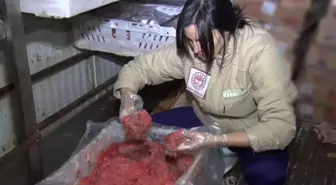 Ankara'da Gıda Güvenliği Denetimi: 16,7 Ton Hayvansal Ürün İmha Edildi