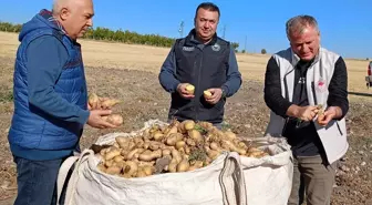 Beyşehir'de Patates Hasadı Başladı