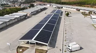 Muğla'da Güneş Enerjisi Santrali ile 600 Ton Karbon Salınımı Önlenecek