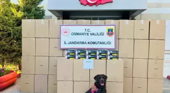Osmaniye'de 1 Milyon 250 Bin Makaron Ele Geçirildi, Şüpheli Tutuklandı