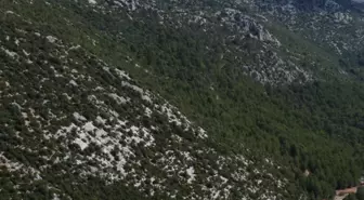 Sıcağıyla meşhur ilimize mevsimin ilk karı düştü