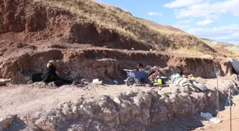 Çankırı'da 9 Milyon Yıllık Zürafa Kafatası Fosili Bulundu