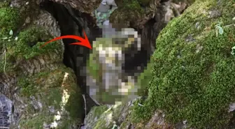 Erzurum'da şaşırtan görüntü: Duyan herkes görmeye geliyor