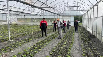 Çorum'da Tarımsal Üretim İncelemesi