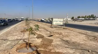 Kerkük'te 50 Bin Ağaçlandırma Projesi Başlatıldı