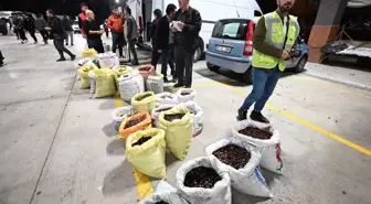 Kilosu 400 liraya satışa çıktı! Herkes bu lezzetin peşinde