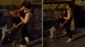 Pitbull cinsi köpek sahibini ısırdı, adamın yardım çığlıkları sokağı inletti