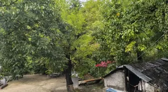 Adana Saimbeyli'de Değirmende Yangın