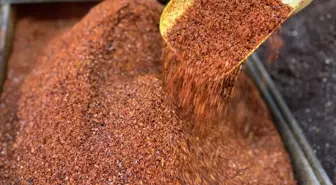 Türkiye'nin Pul Biber İhracatı Yüzde 4 Arttı