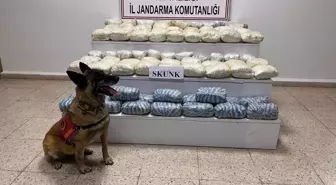 Başkale'de 47 Kilo Skunk Ele Geçirildi