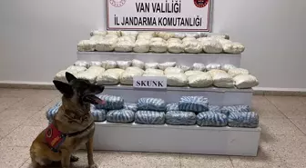 Başakale'de 47 Kilo Skunk Ele Geçirildi, Bir Şüpheli Gözaltına Alındı