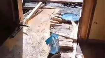 Ayılar Rize'de 8 Evi Ziyaret Etti