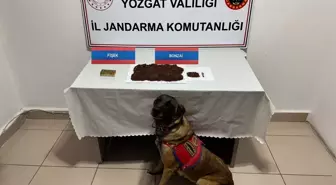 Yozgat'ta Uyuşturucu Operasyonu: 1 Gözaltı