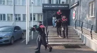 Bursa Merkezli Fuhuş Operasyonunda 22 Şüpheli Gözaltına Alındı