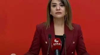 CHP'li Taşcıer: Sayıştay Raporları Pembe Raporlar Olmaya Dönüştü