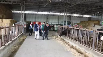 Tarım ve Orman Müdürü İslam Köse, Lalapaşa'da Hayvancılık İşletmesini Ziyaret Etti