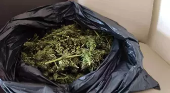 İnegöl'de Jandarma Uyuşturucu Operasyonu: 2 Kilogram Esrar Ele Geçirildi