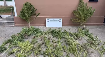 Mardin'de Uyuşturucu Operasyonu: 3 Gözaltı