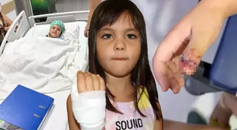 Anaokulunda ihmal! 4 yaşındaki Mavi'nin parmağı demir kapıya sıkışıp koptu