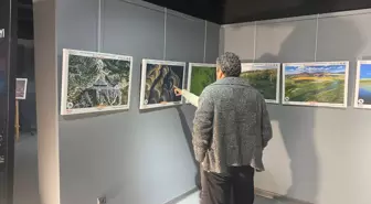 Nallıhan Kuş Cenneti'nde Foto Safari Sergisi Açıldı