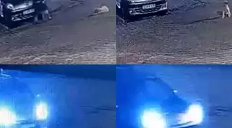 Mersin'de Hafif Ticari Araç Kangal Cinsi Yavru Köpeği Ezdi