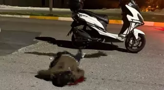 Bıçaklı Saldırı: Şanlıurfa'da Genç Hayatını Kaybetti