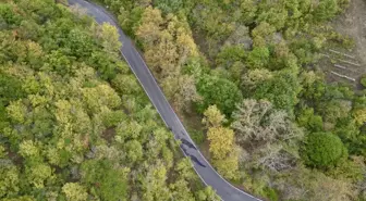 Tekirdağ'ın Ganos Dağı'nda Sonbahar Renkleri