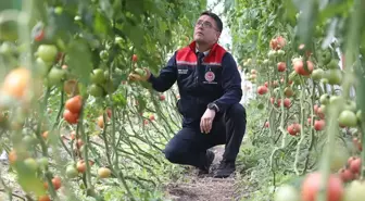 Bu görüntü 6 ay kar yağan ilden! Verim ihya etti, herkes yapmak istiyor